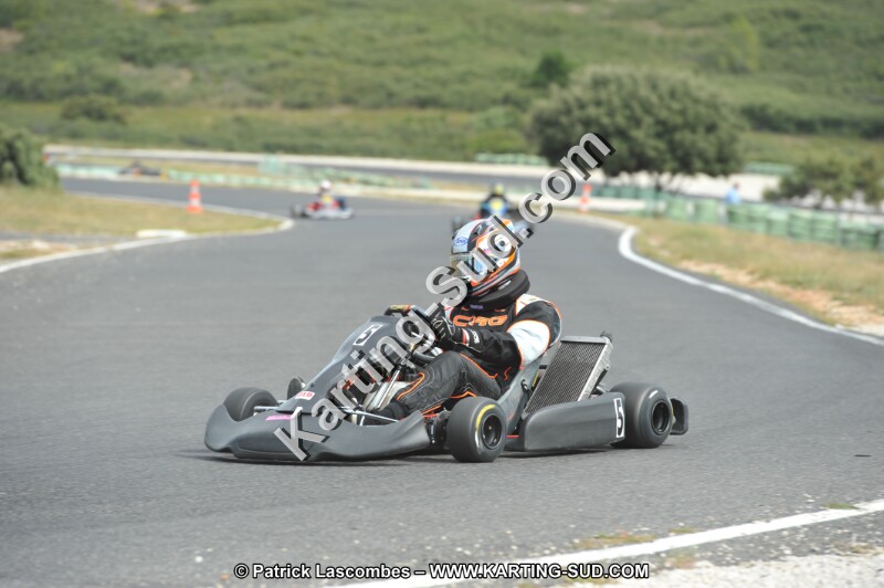 DSC (3552).JPG